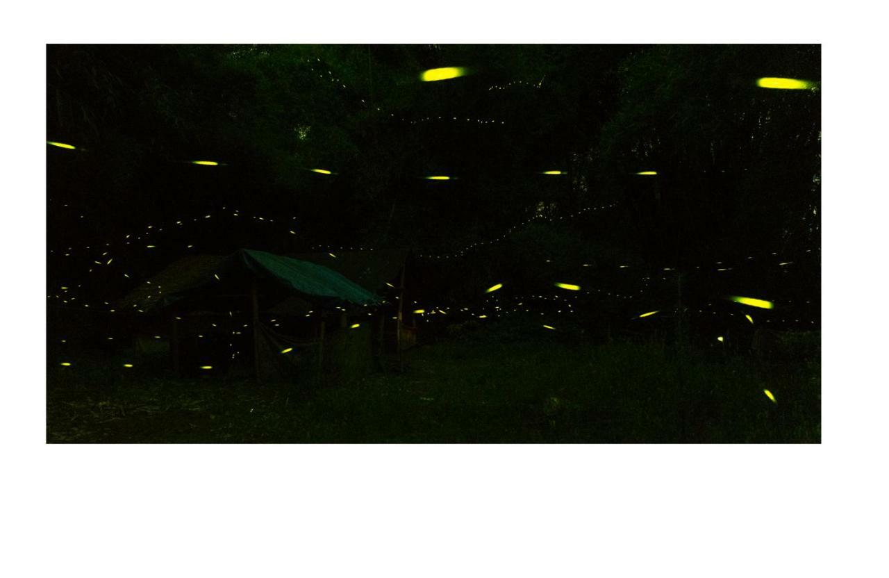 Yangshuo Yunshe Mountain Guesthouse מראה חיצוני תמונה